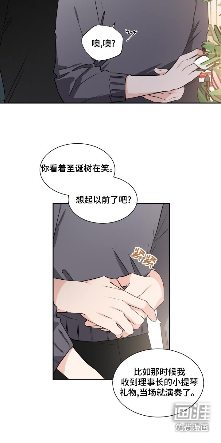 第85章：圣诞树
