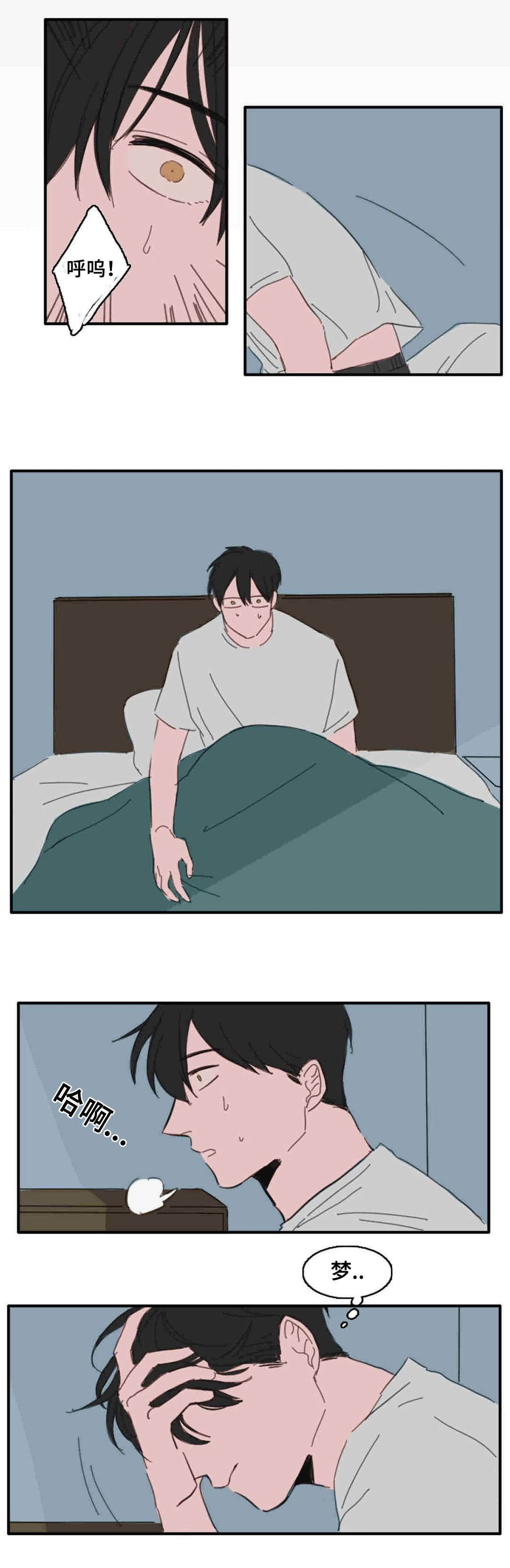 第19章：梦醒