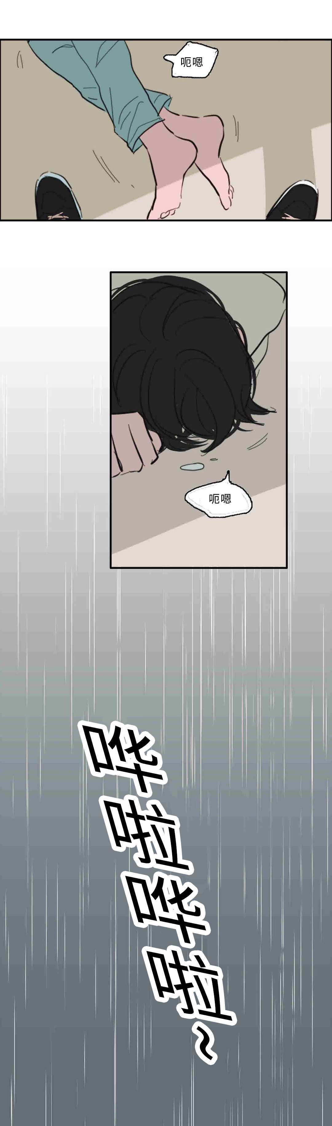 第30章：雨声