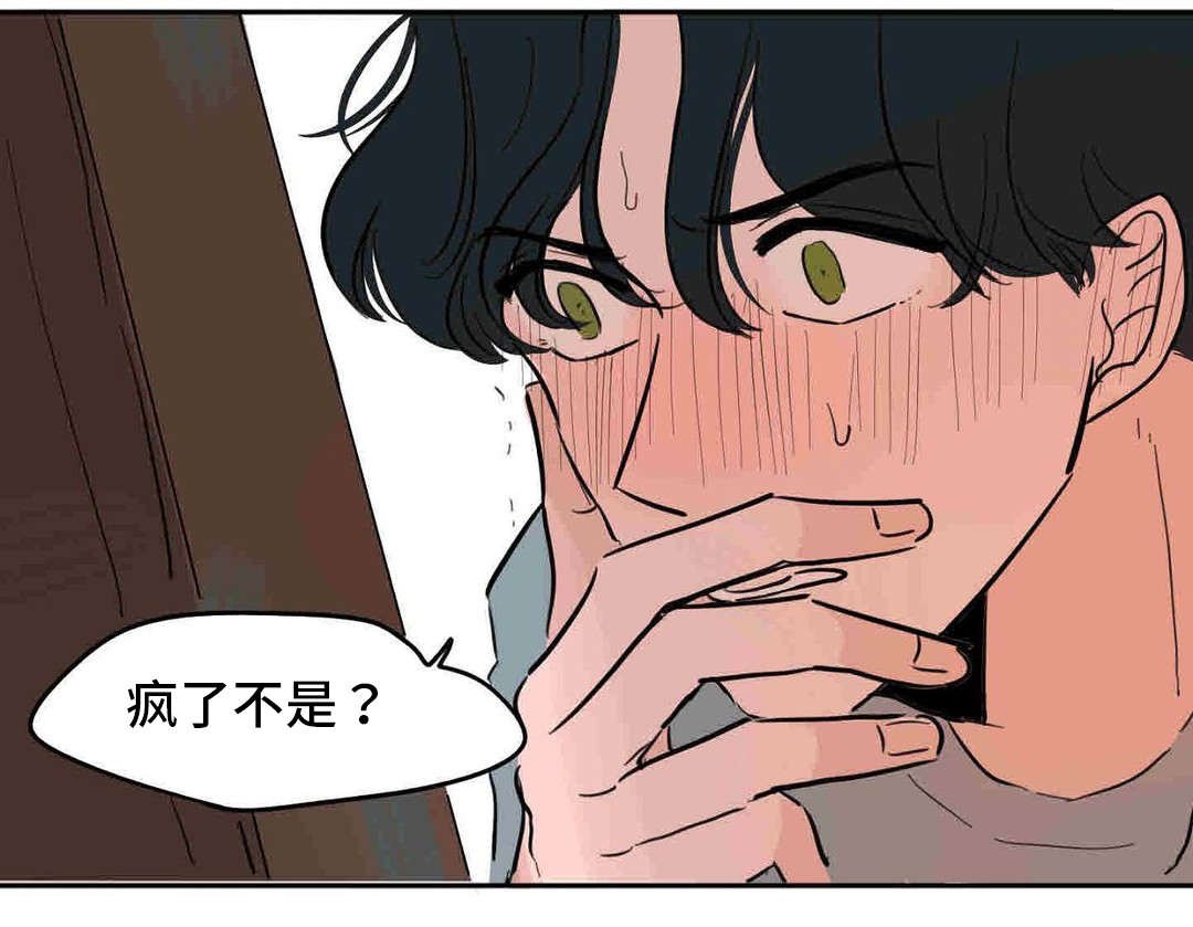第41章：疯了