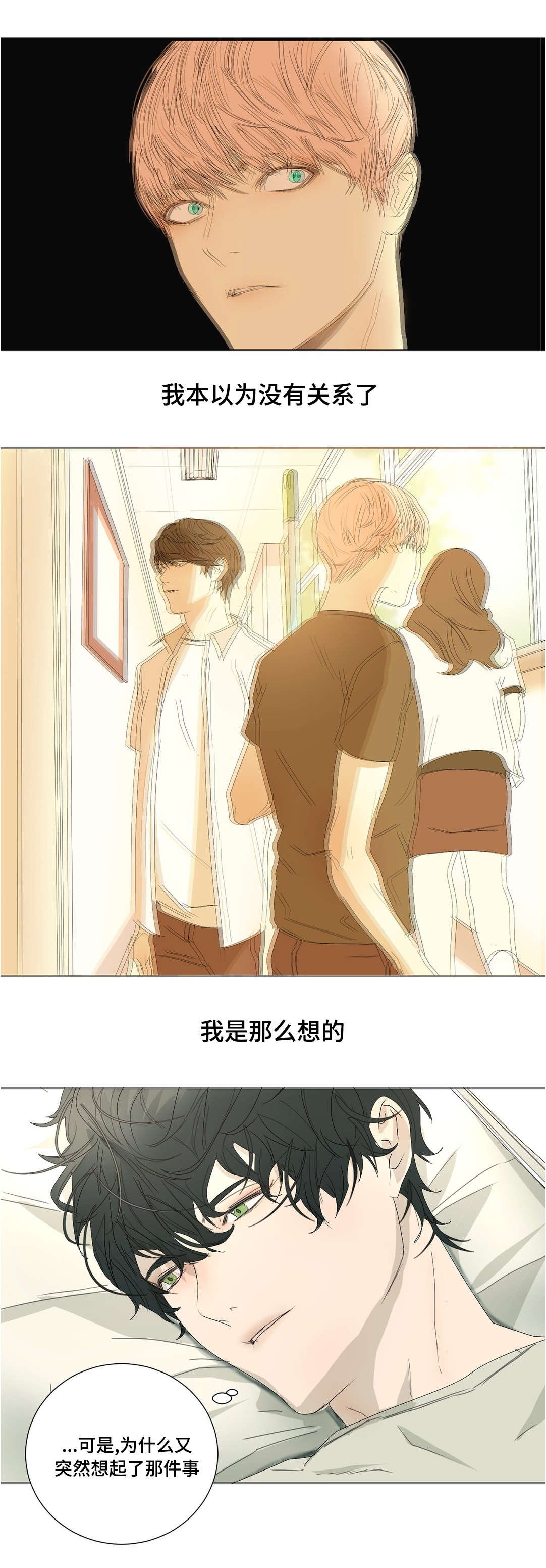 第25章：到底是为什么