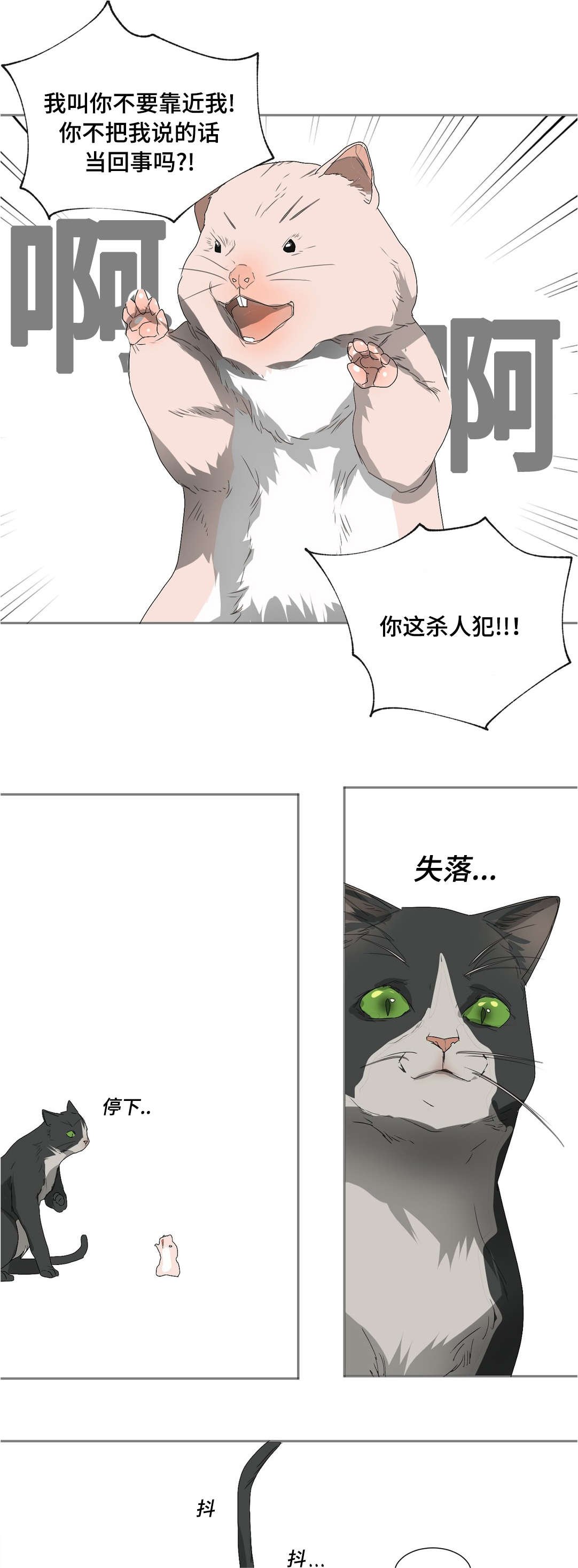 第26章：是个什么样的人