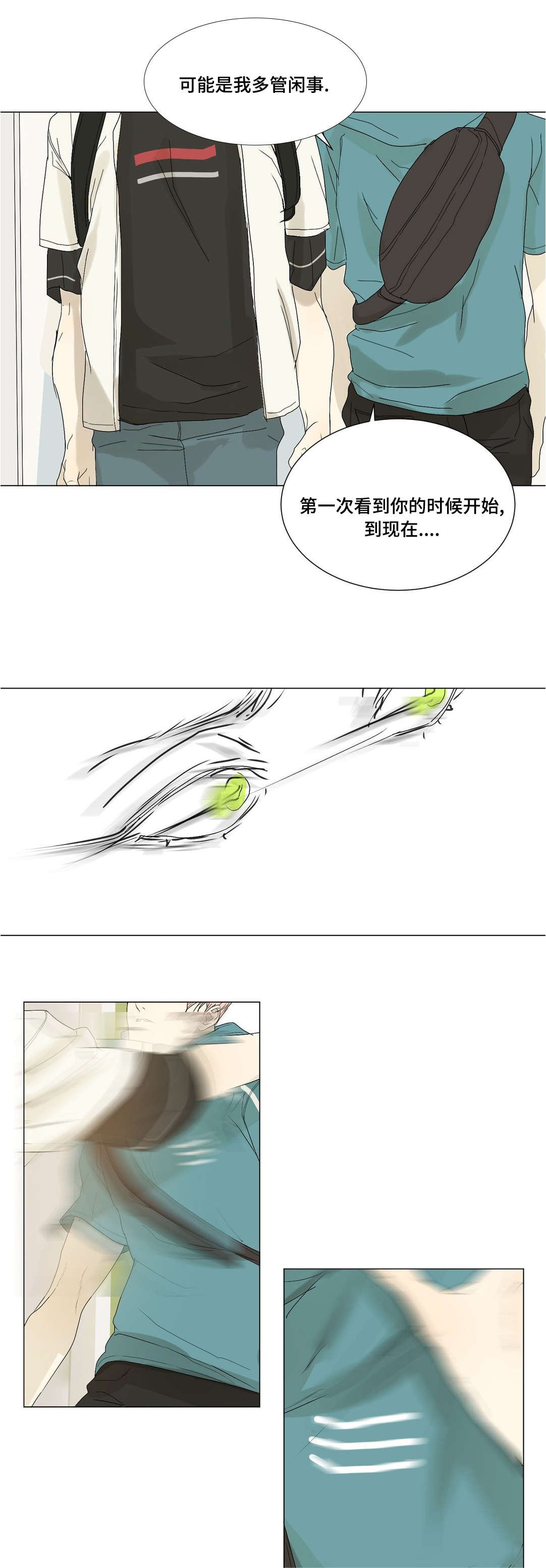 第31章：什么意思