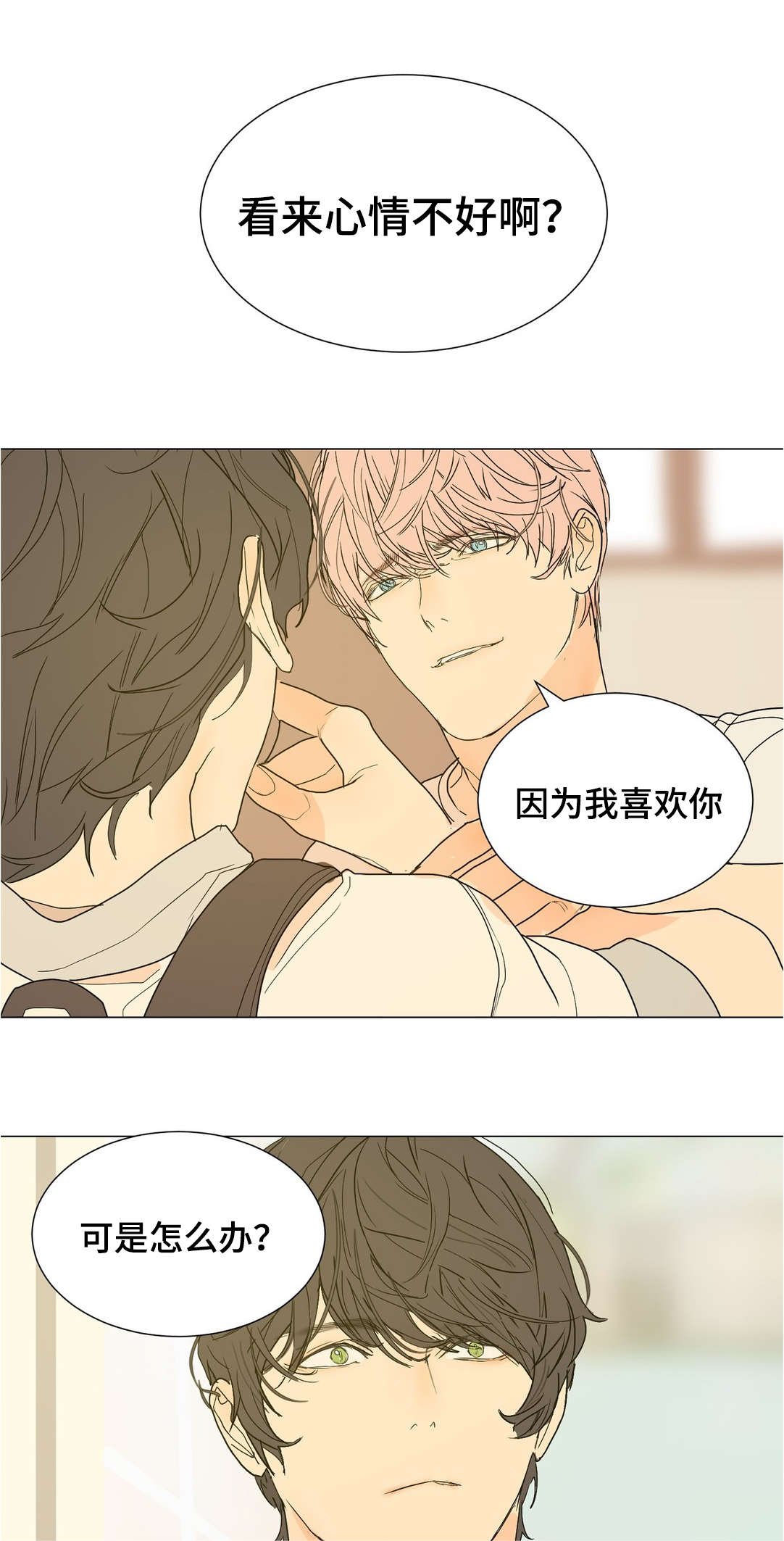 第41章：不要喜欢我