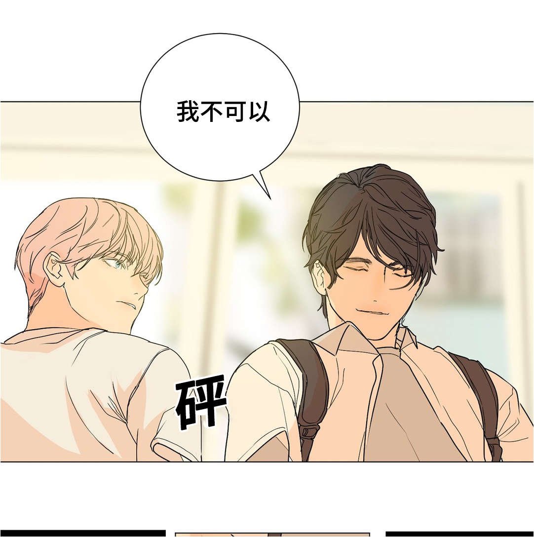 第41章：不要喜欢我