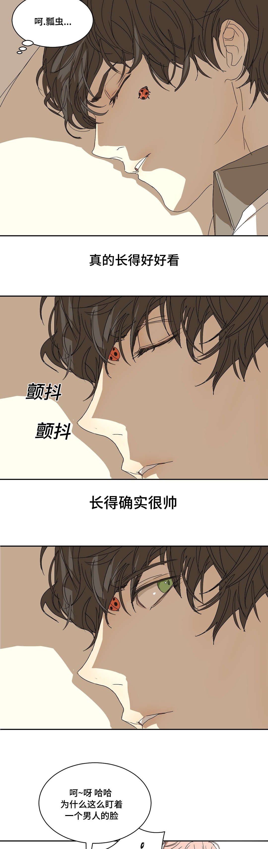 第7章：长得真好看