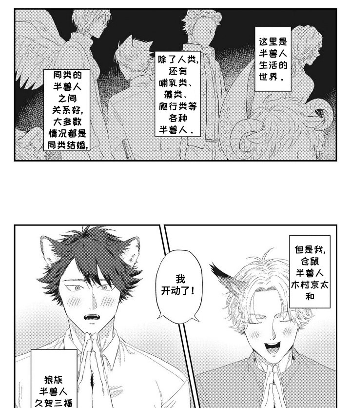 第17章：半兽人