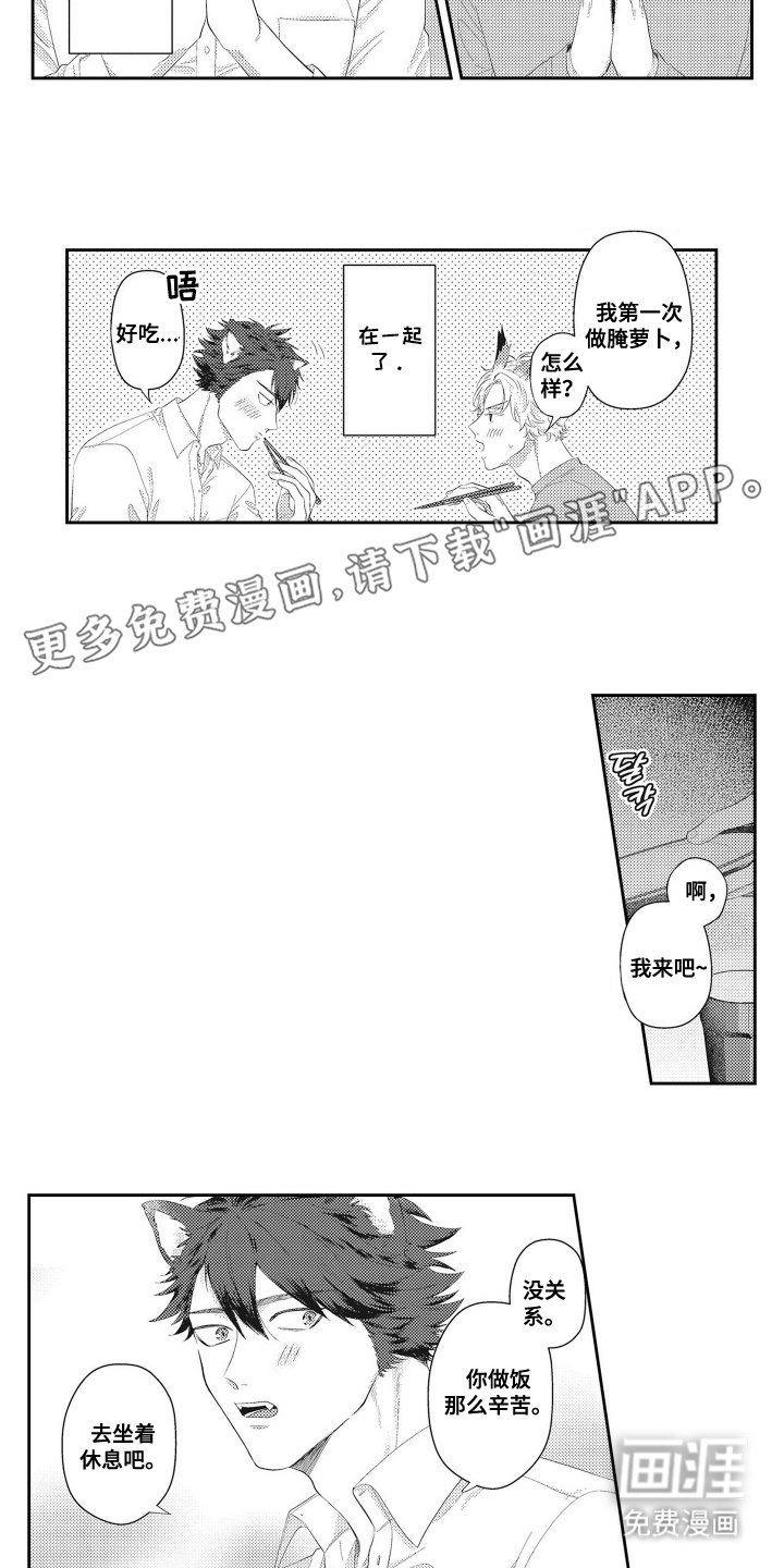 第17章：半兽人