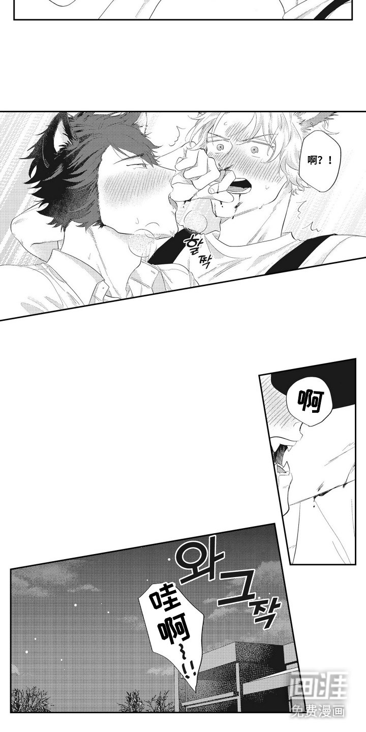 第18章：想试一试