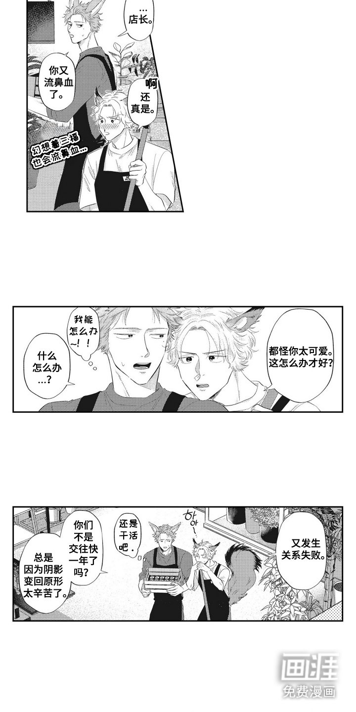 第18章：想试一试