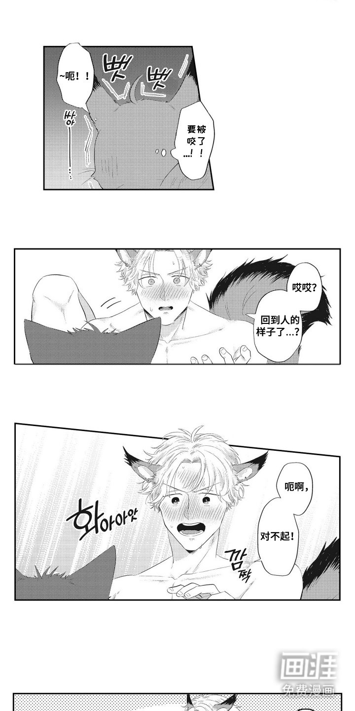 第20章：克服
