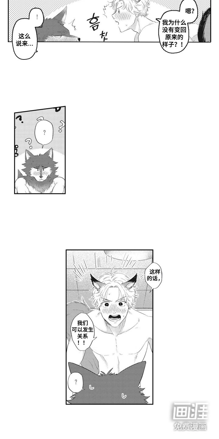 第20章：克服