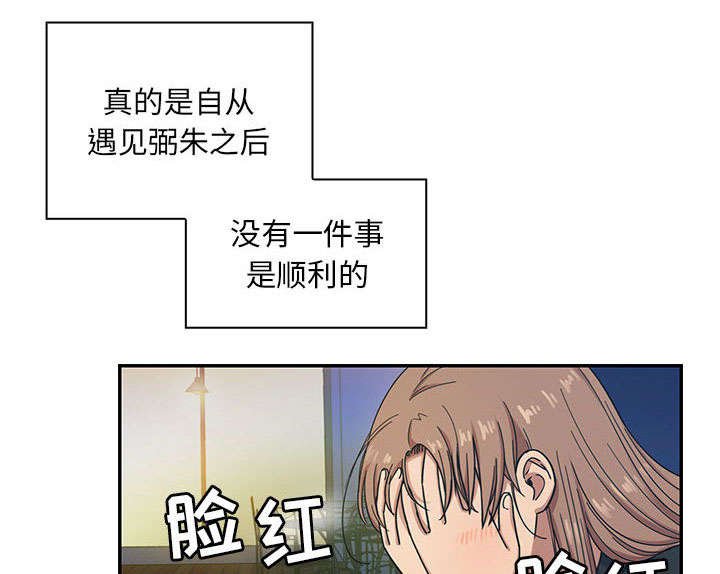 第29章：因为他