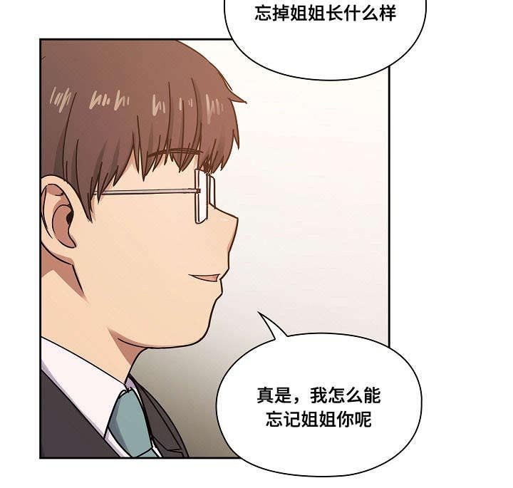 第37章：玩具