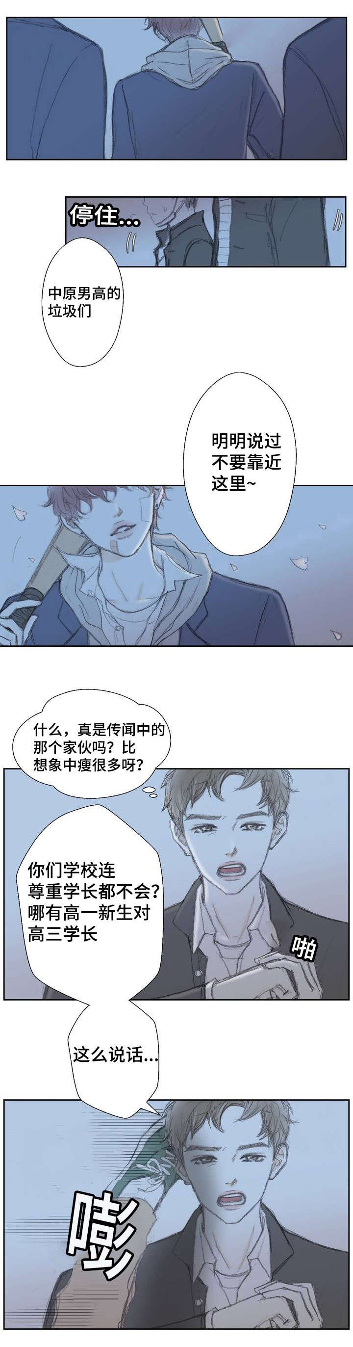 第1章：意外发现