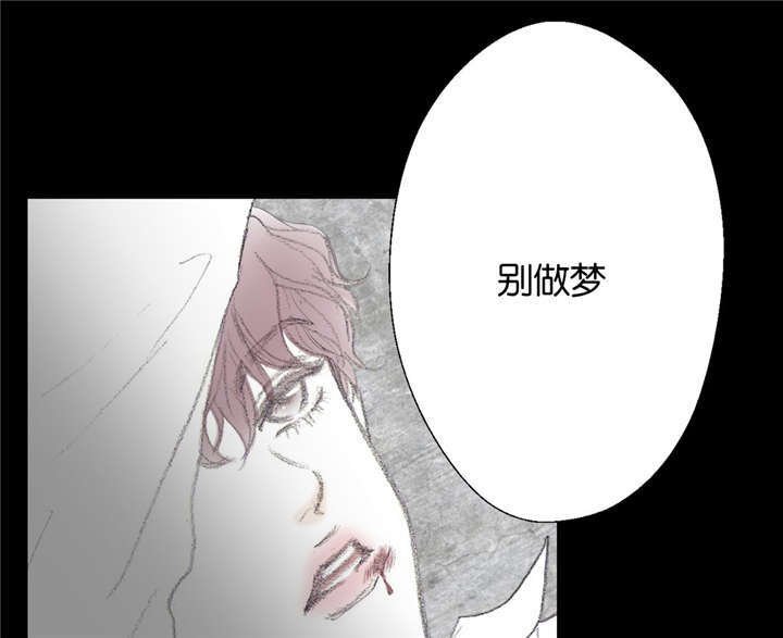 第14章：梦境