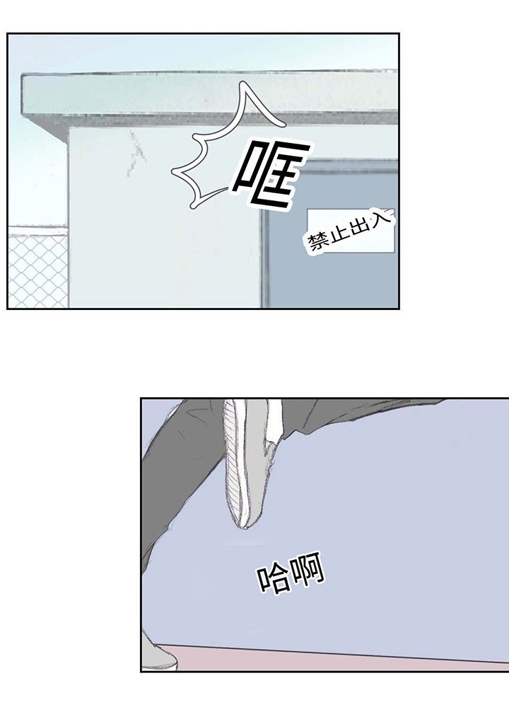 第33章：到底做了什么