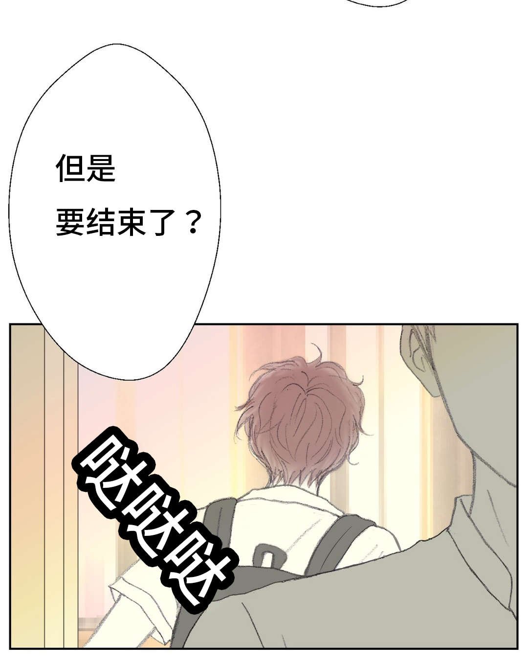 第39章：傻瓜