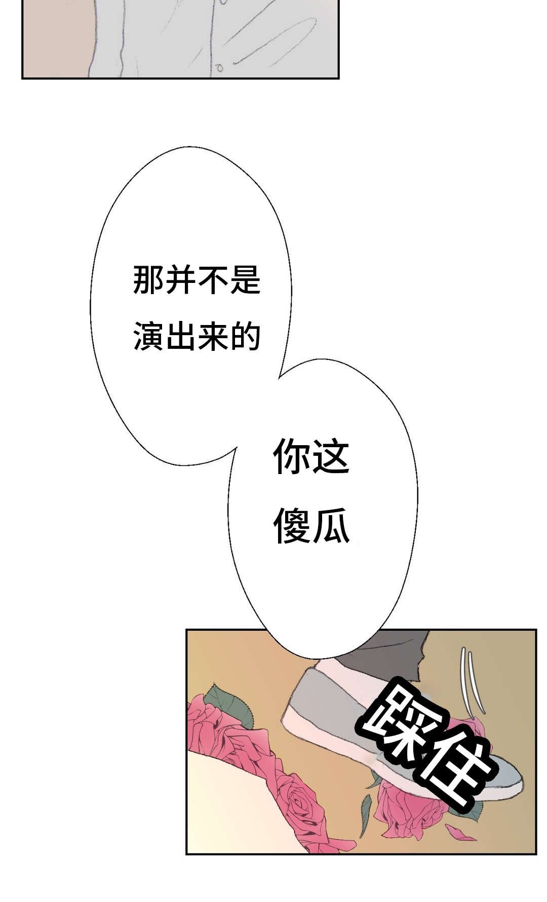 第39章：傻瓜