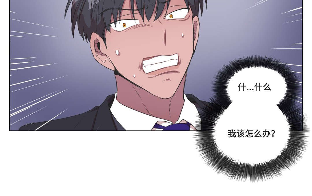 第3章：我该怎么办