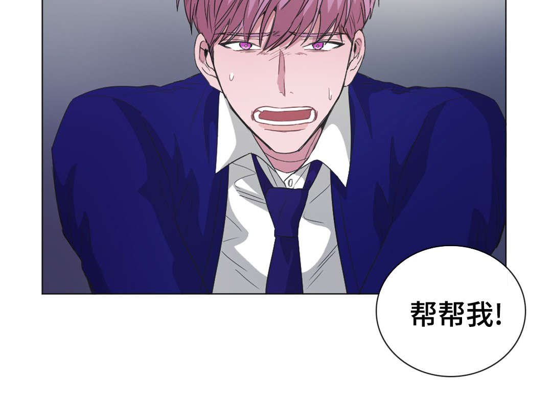 第41章：帮帮我