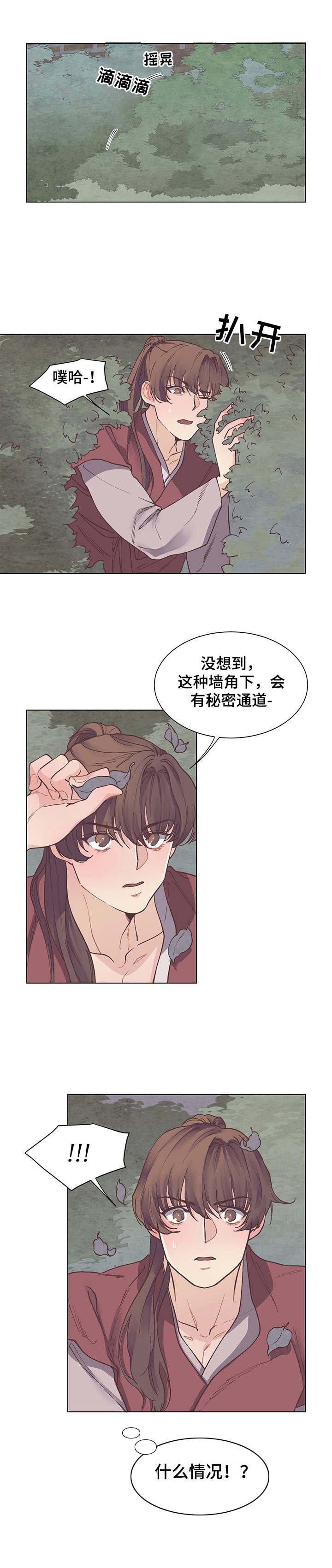 第12章：目睹