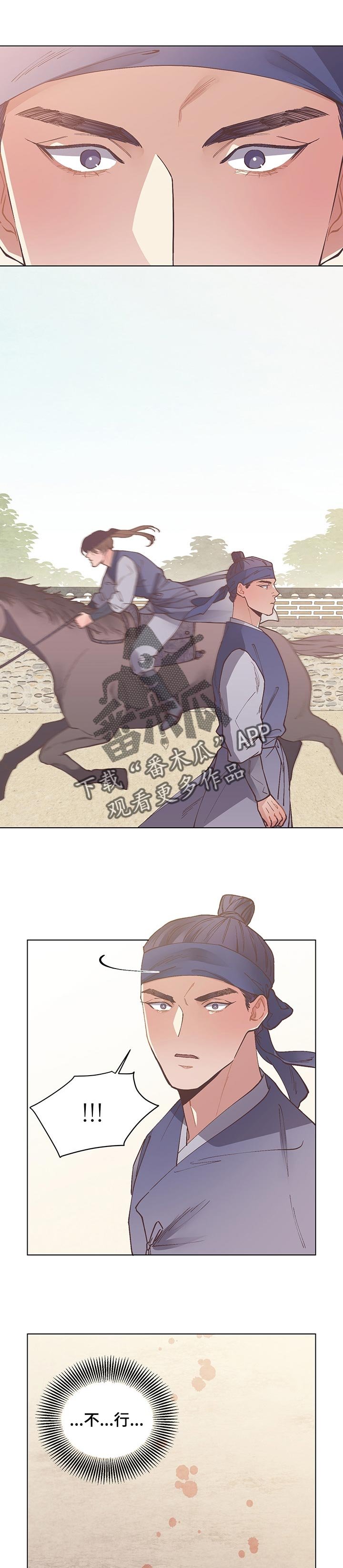 第46章：失控的马