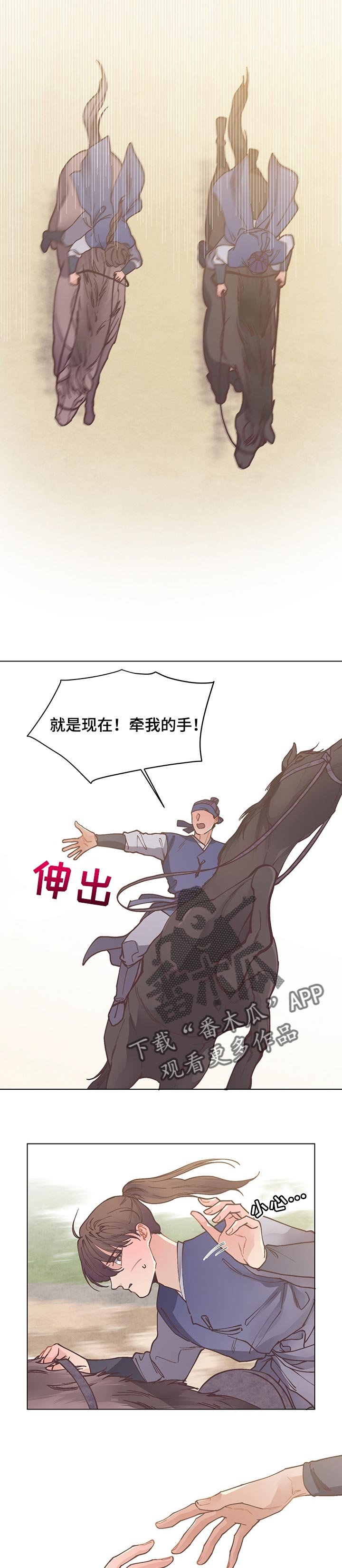 第46章：失控的马