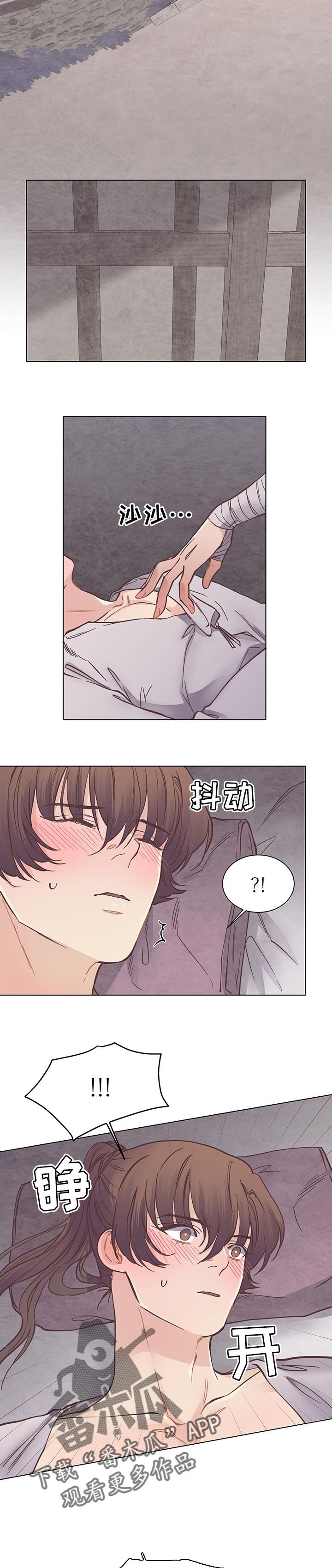 第51章：神奇
