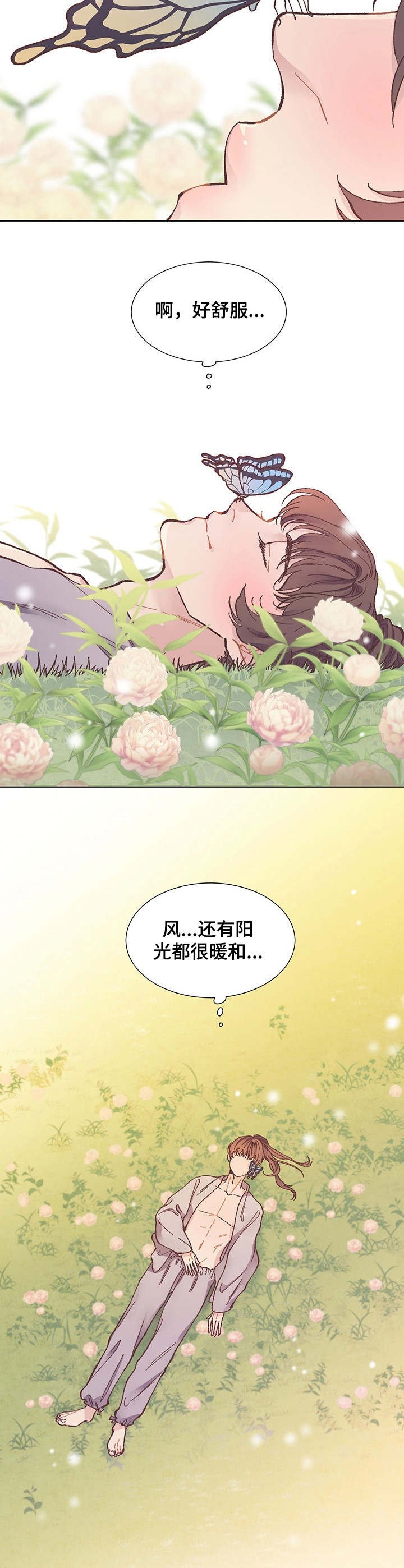 第7章：蝴蝶