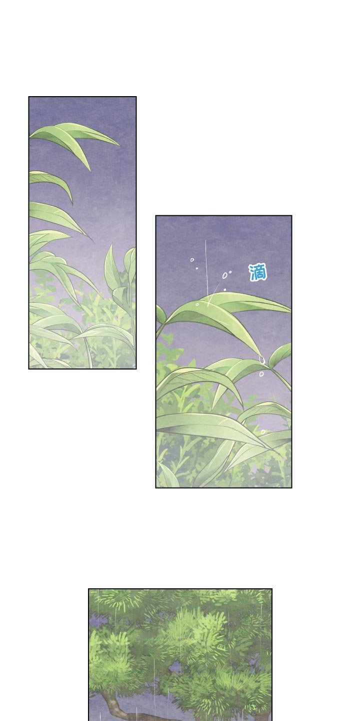 第81章：老虎出没