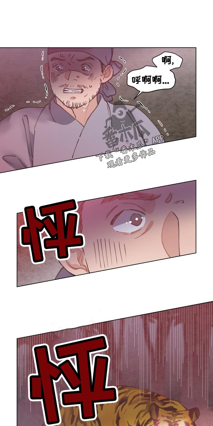 第81章：老虎出没