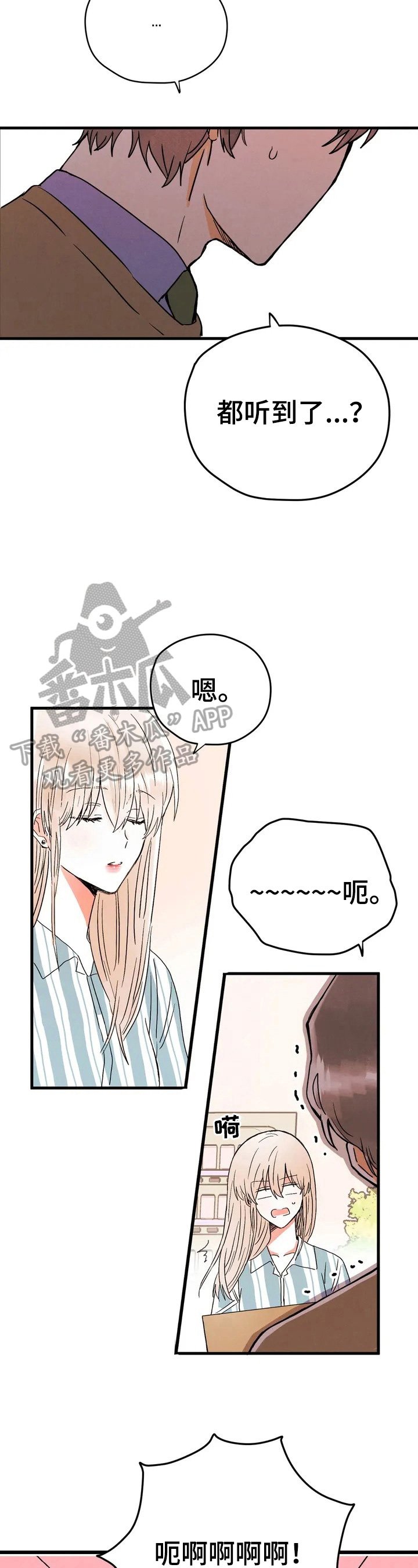 第13章：约定