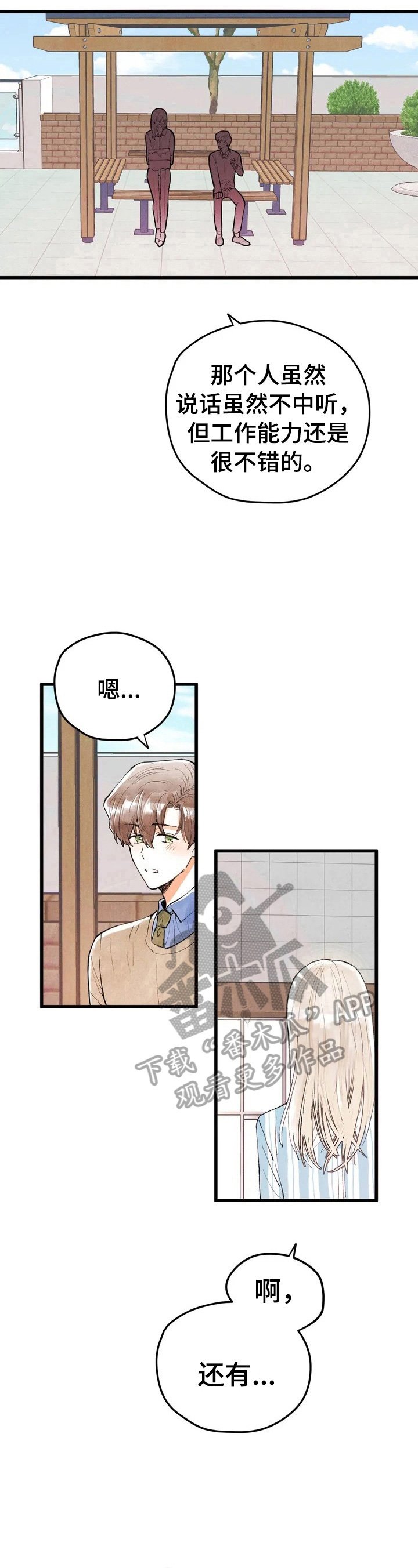 第13章：约定