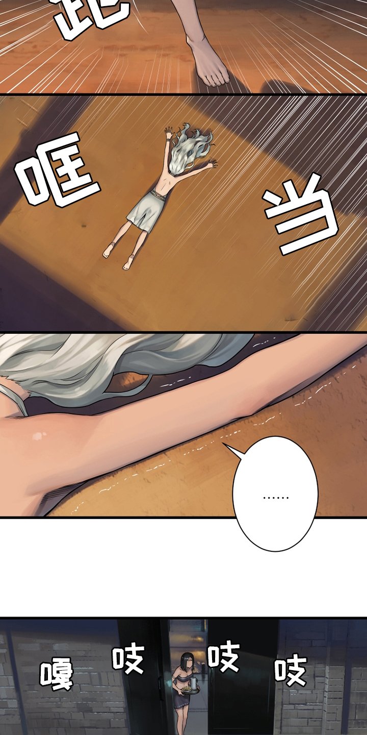 第113章：障壁后面