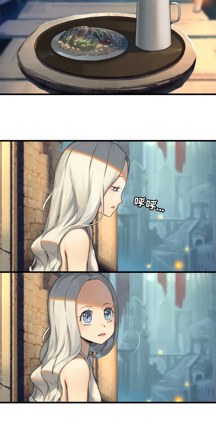 第113章：障壁后面