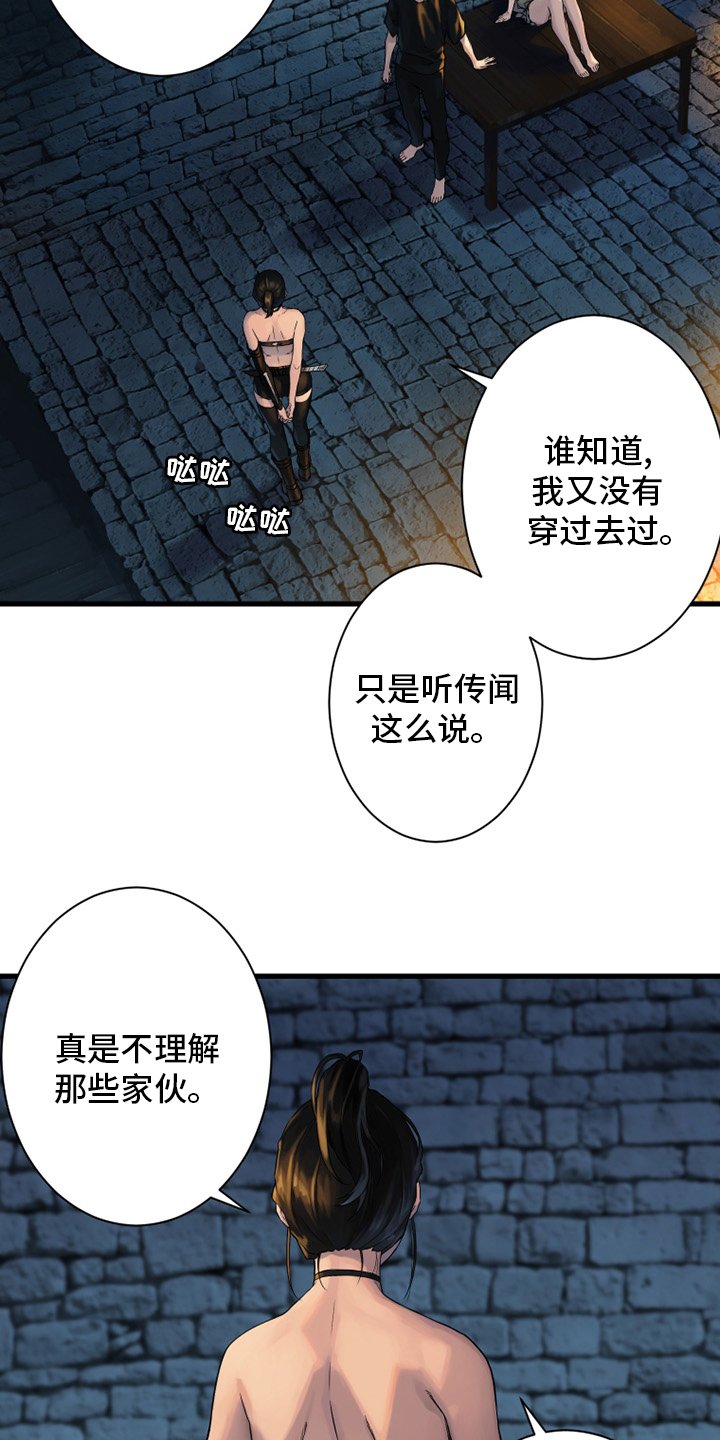 第113章：障壁后面