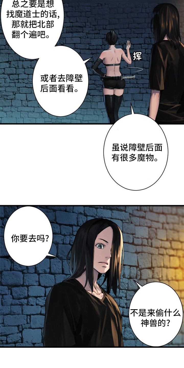 第113章：障壁后面