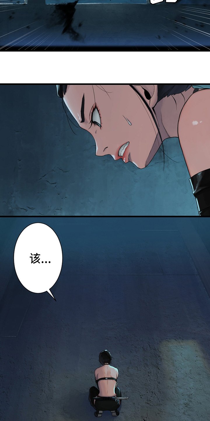第114章：好久不见