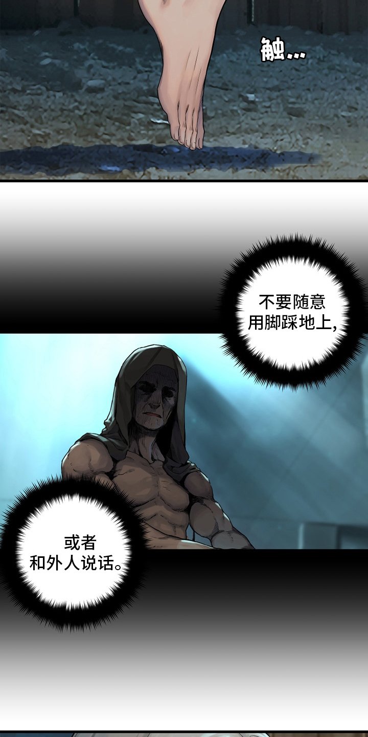 第116章：魔法召唤书