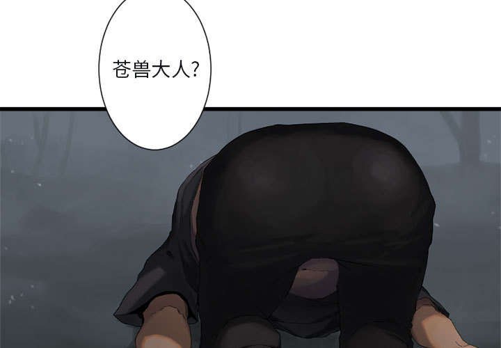 第12章：不堪一击