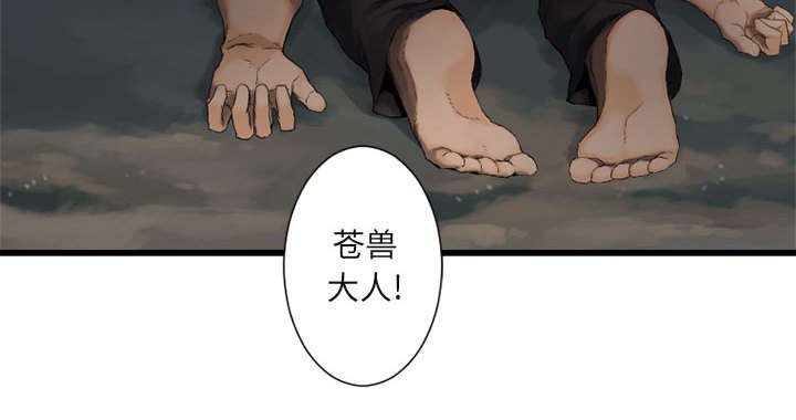 第12章：不堪一击