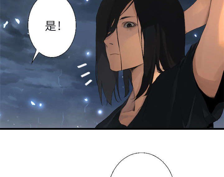 第13章：现实与想象