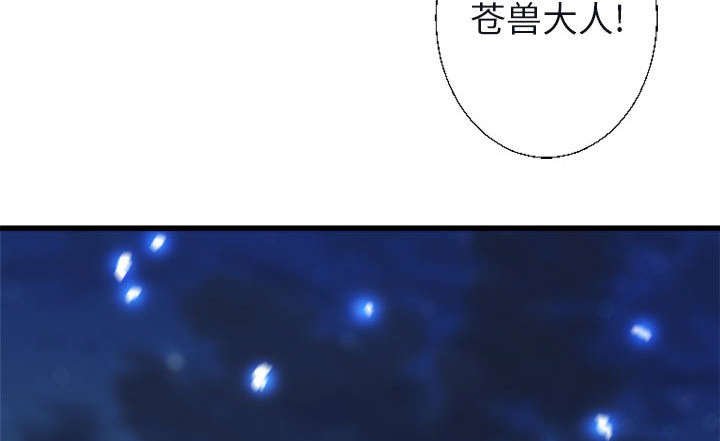 第13章：现实与想象