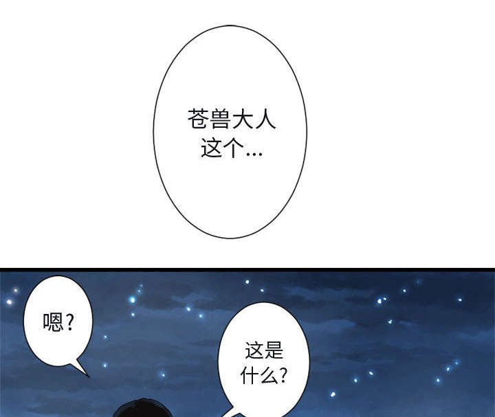 第13章：现实与想象