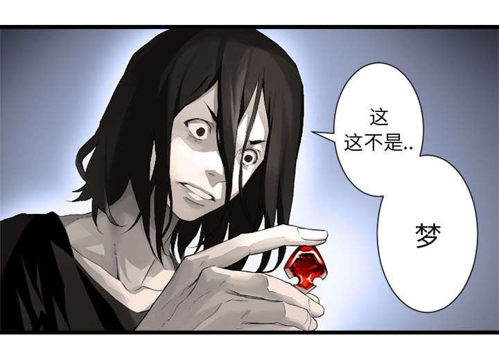 第13章：现实与想象