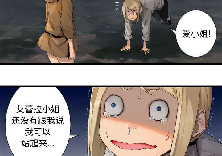 第13章：现实与想象