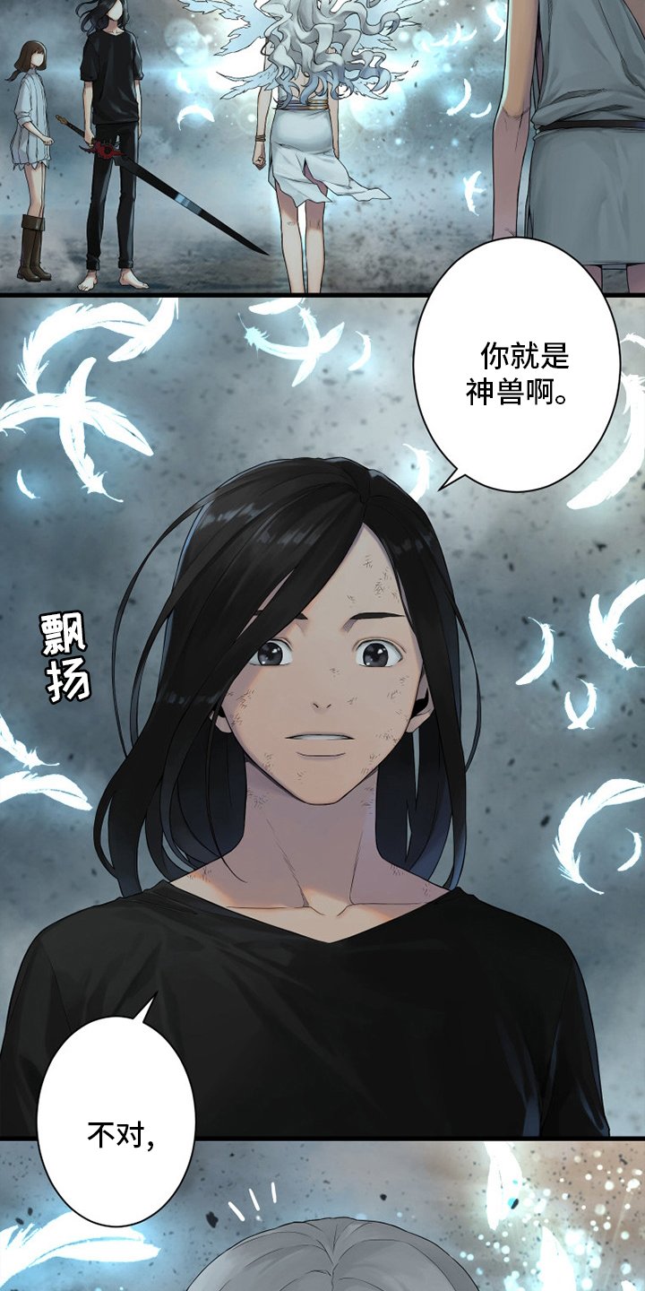 第158章：一定要做