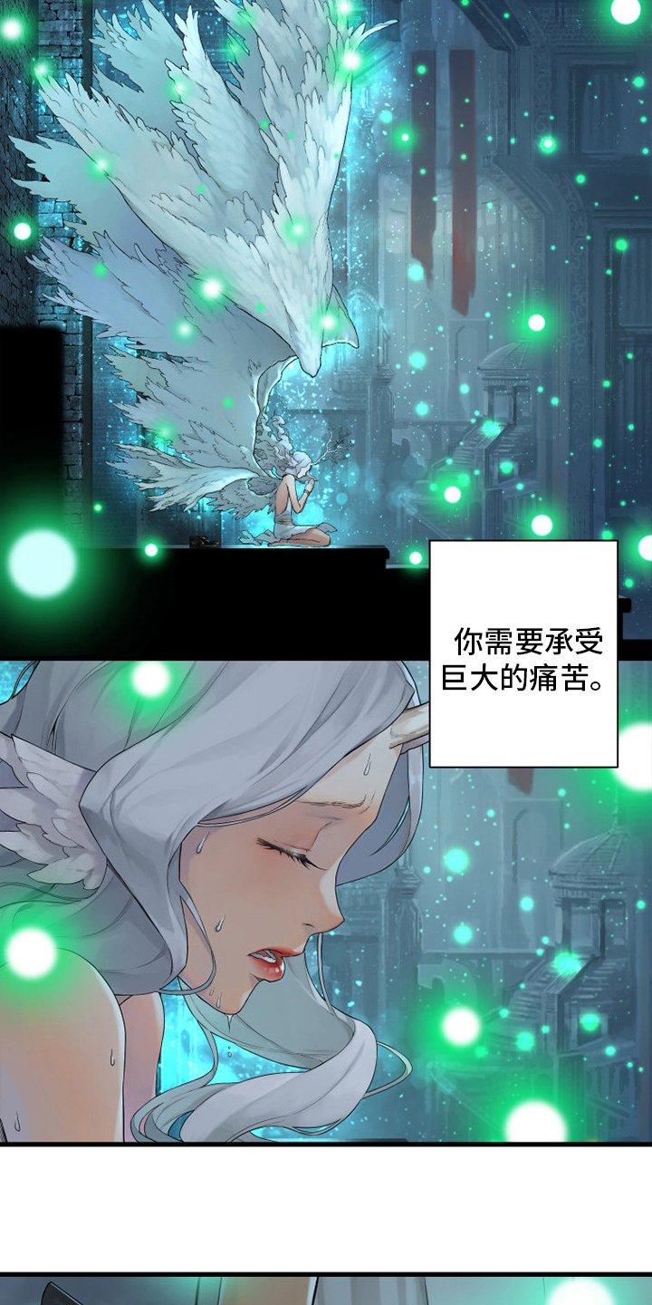 第160章：生命的水流