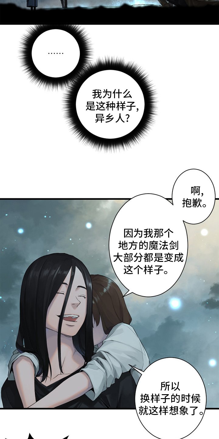第161章：坏小偷